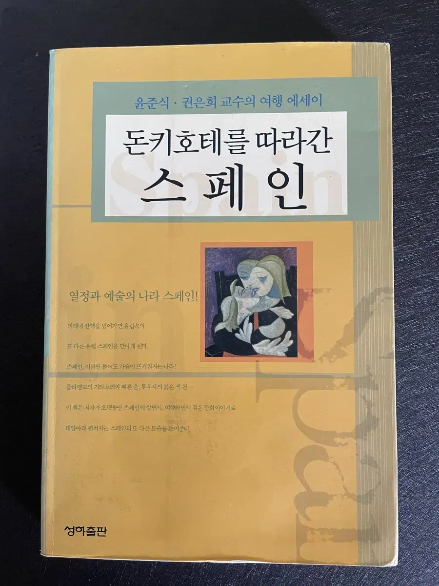 돈키호테를 따라간 스페인 - 윤준식,권은희